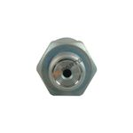 valvula-limitadora-bosch-1110010020-para-man-tga-tgl-tgm