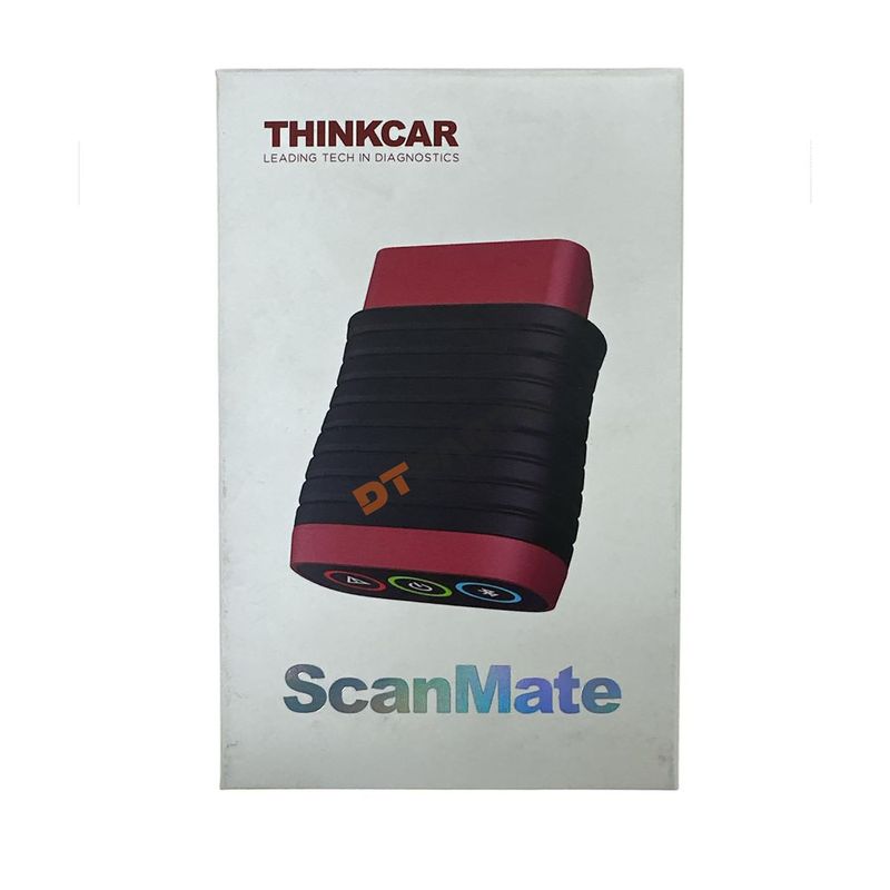 THIN0001_5.jpg
