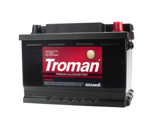 Batería de auto 55 amperes - DTPARTS
